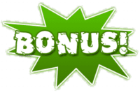 Bonus